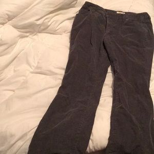Straight Fit Boot Cut Corduroy Gray Women’s Pants
